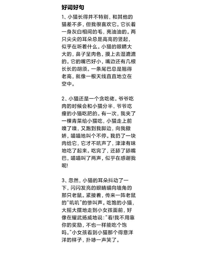 金铲铲上分阵容金丝猴，金铲铲上分思路