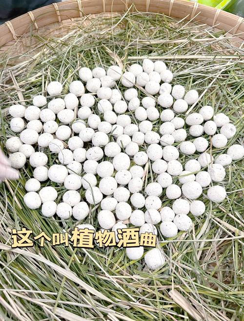 科技通报“悠乐竞技要怎么开挂”?原来是真的有