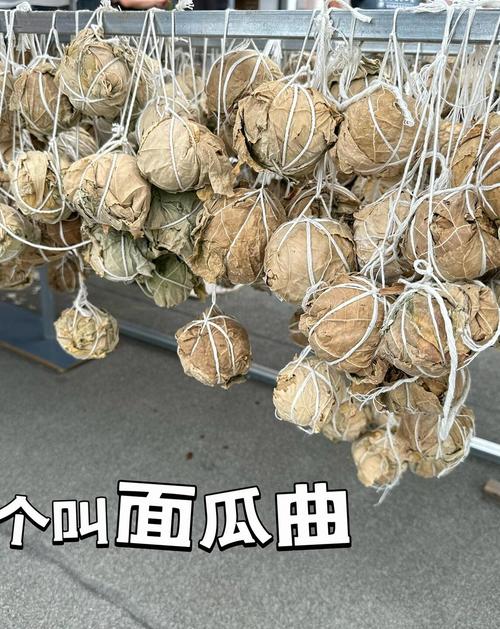 重磅.揭秘“开心跑得快作弊软件”的确可以开挂