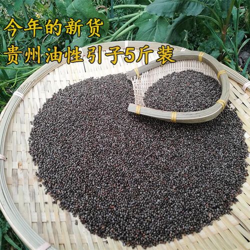 实测!“永州跑胡子开挂透视神器”(原来有挂)