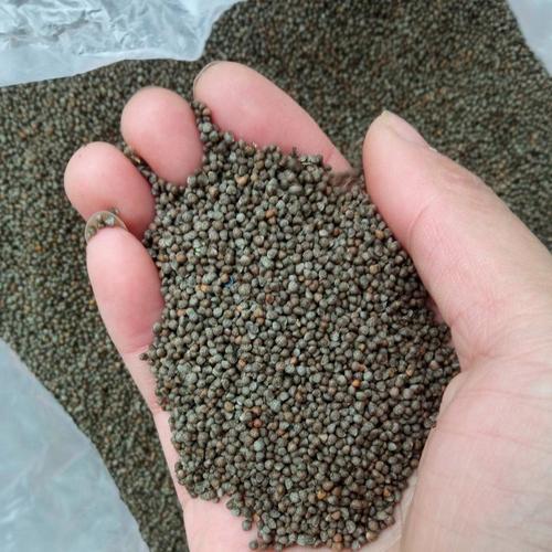 揭秘爆料“雀神竞技辅助工具”-果然有挂-果然有挂