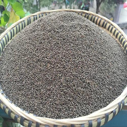 爆料一款!“白金岛游戏有挂吗”(确实真的有挂)