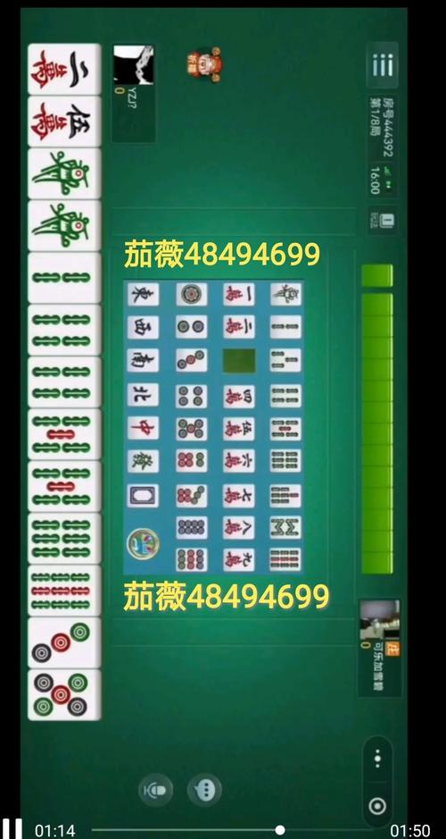 一分钟教程“滇乐云南麻将辅助挂”[其实确实有挂]