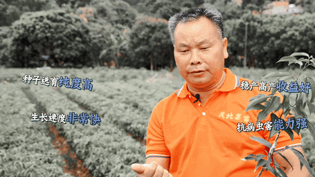 经验传递“荔枝竞技真的可以开挂吗”(详细教程工具)