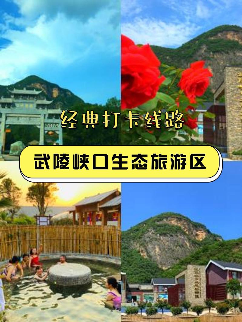 今日重大通报“武陵游透视”(教你开挂教学)