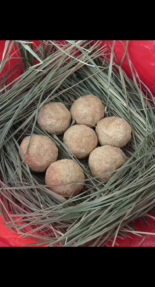 经验传递“永乐跑胡子开挂辅助软件”-果然有挂-果然有挂