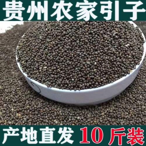 [教程经验]“北方家乡游戏有挂吗可以开挂的”(其实真的能开挂)(科技爆料)